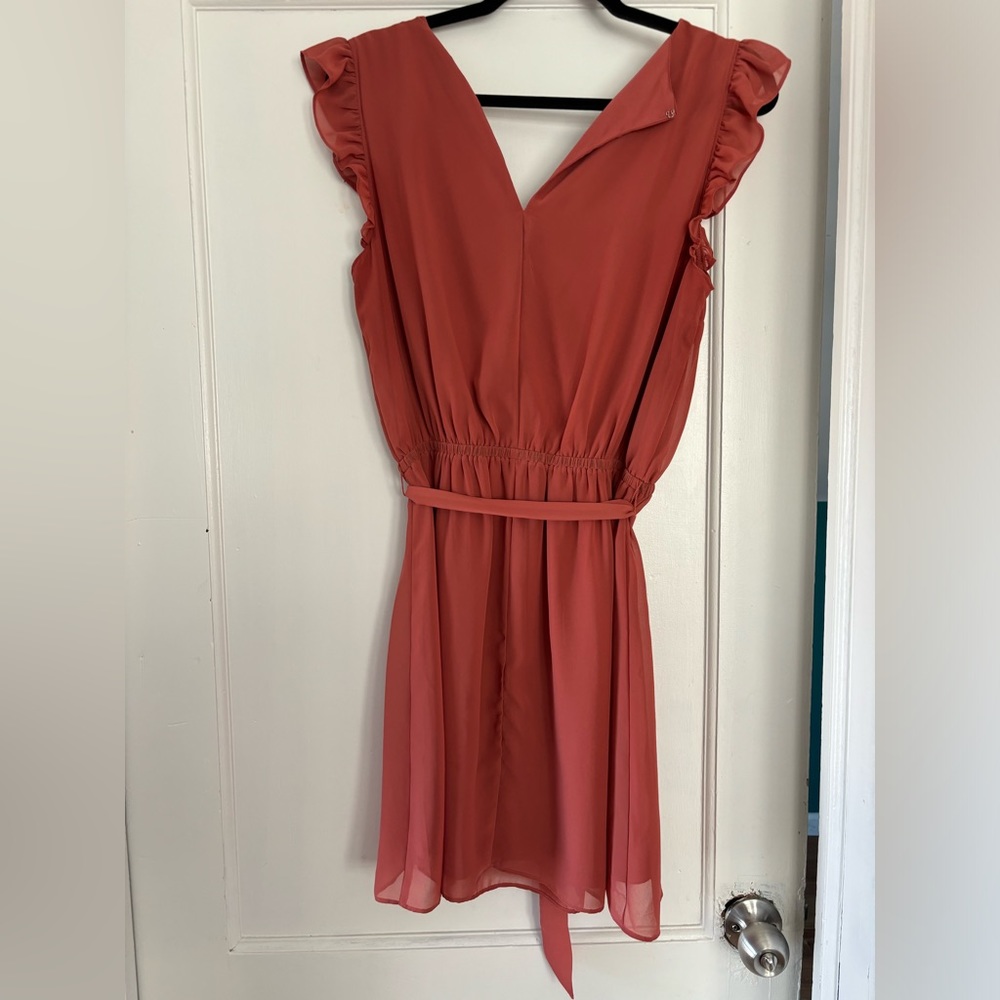 Express Dress - Picture 2 of 4